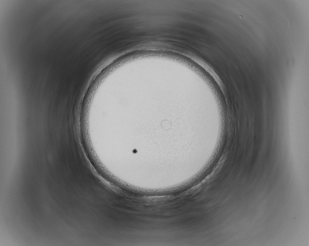 X0000108481437200905151214