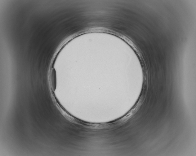 X0000108481438200905151214