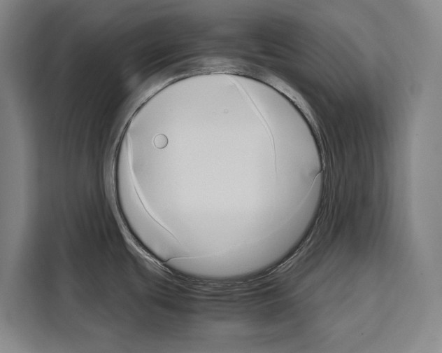 X0000108481439200905151214