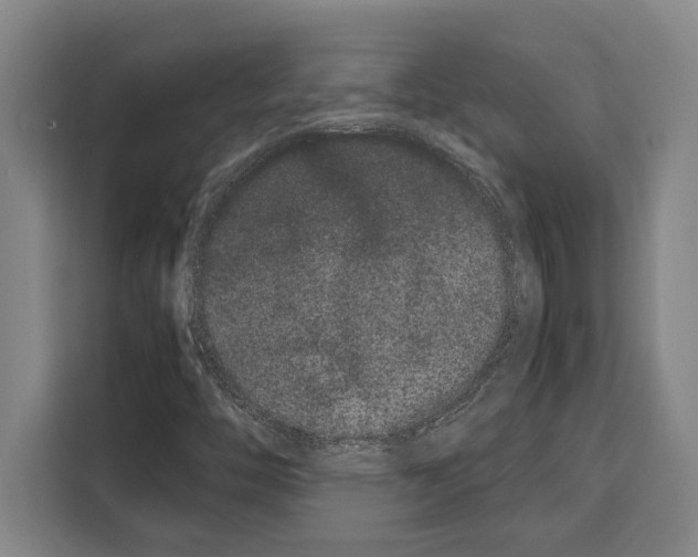 X0000108481446200905151213