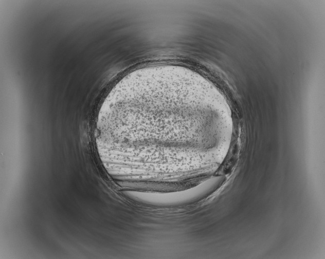 X0000108481449200905151213