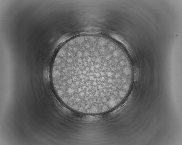 X0000108481451200905151213