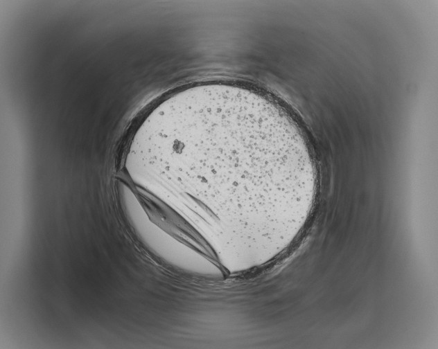 X0000108481453200905151213
