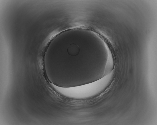 X0000108481455200905151213