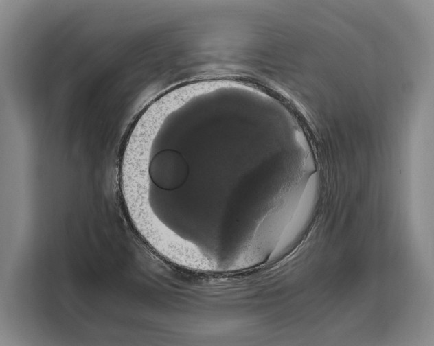 X0000108481459200905151213