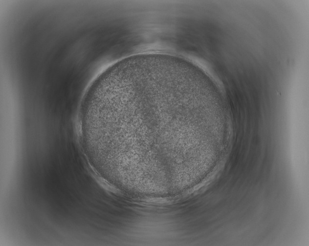 X0000108481462200905151213