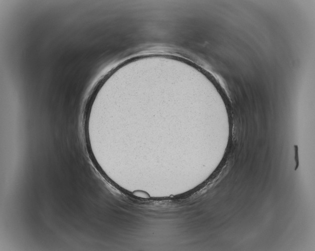 X0000108481464200905151213