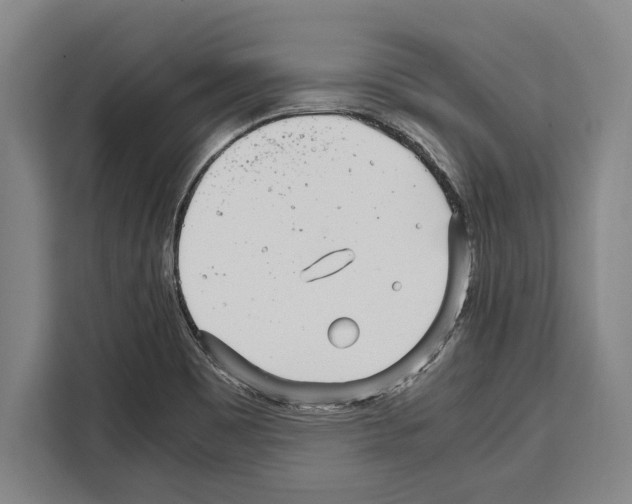 X0000108481465200905151213