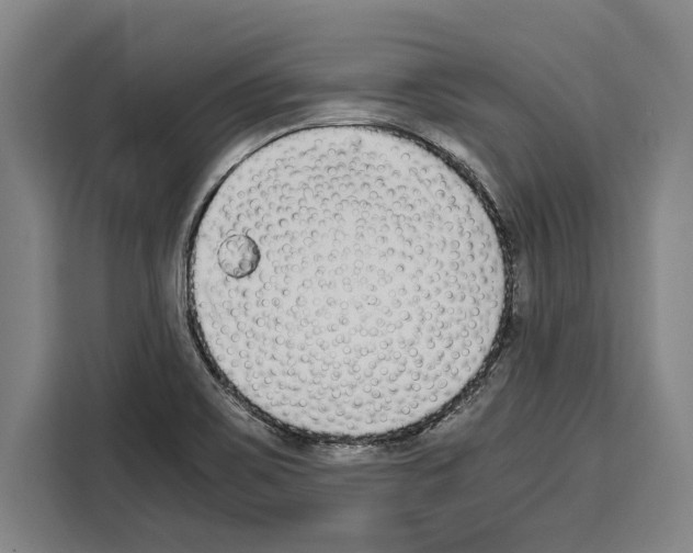 X0000108481467200905151213