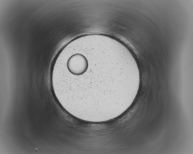 X0000108481469200905151213