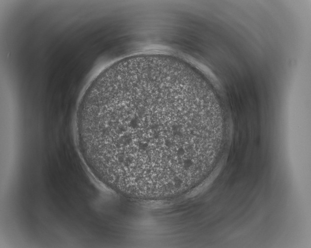 X0000108481470200905151213