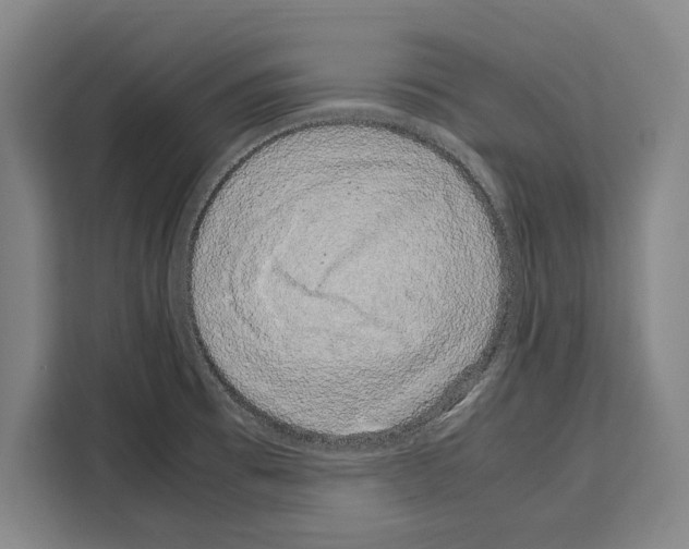 X0000108481473200905151213