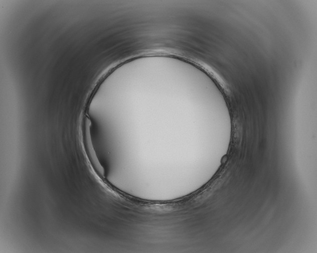 X0000108481476200905151213