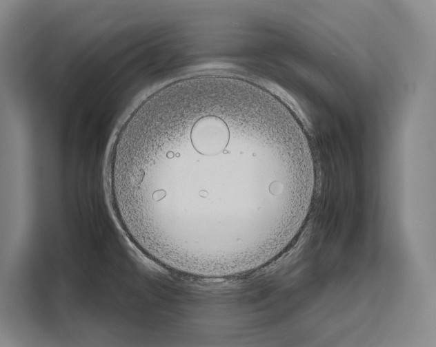 X0000108481478200905151213