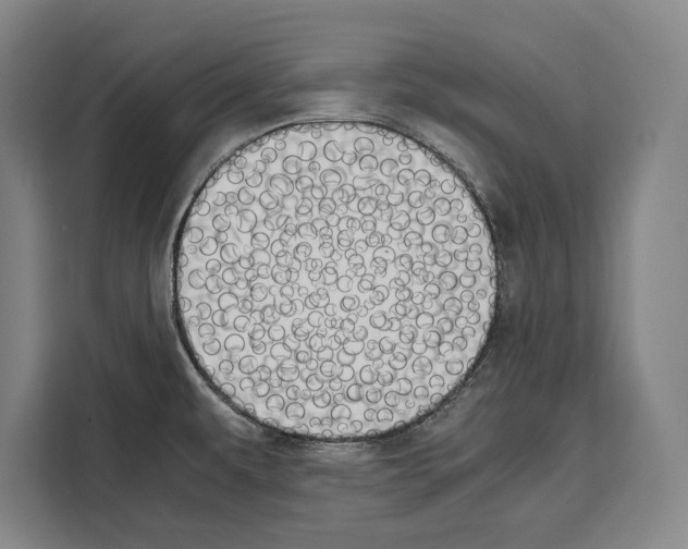 X0000108481479200905151213