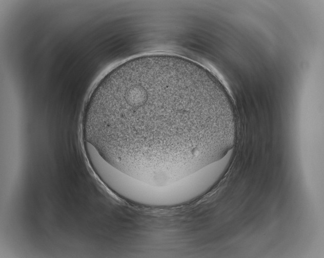 X0000108481480200905151213