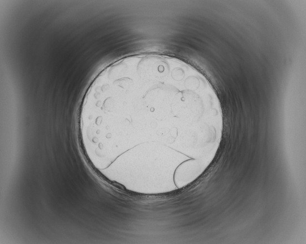 X0000108481483200905151213