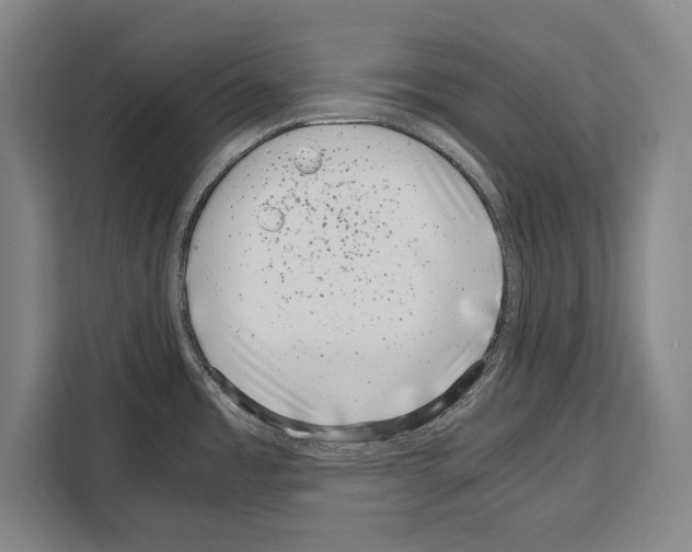 X0000108481485200905151213