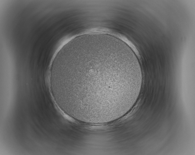 X0000108481486200905151213
