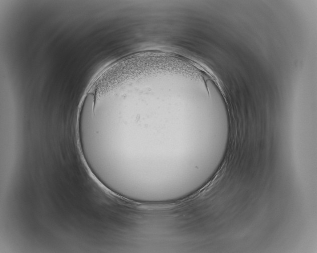 X0000108481487200905151213