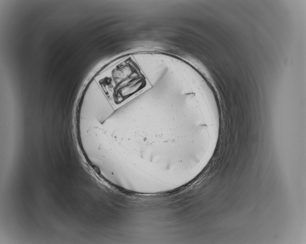 X0000108481488200905151213