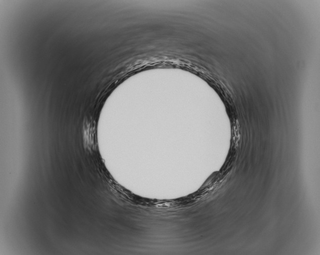 X0000108481490200905151212