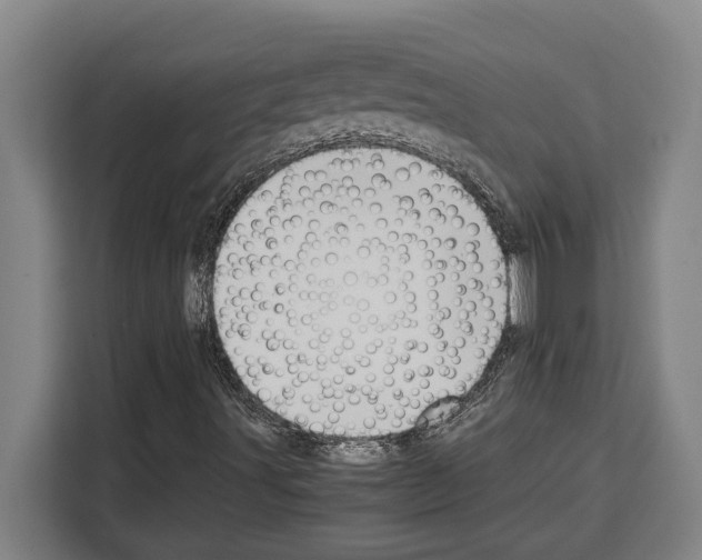 X0000108481491200905151212