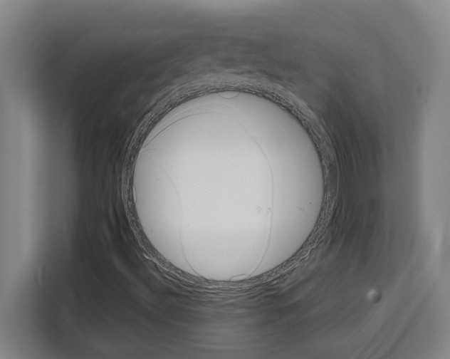 X0000108481492200905151212