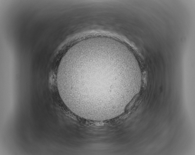 X0000108481495200905151212