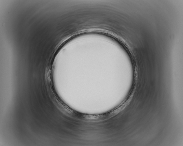 X0000108481497200905151212