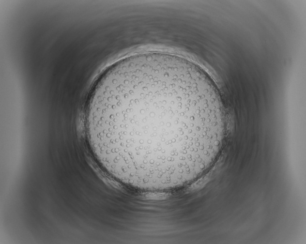 X0000108481499200905151212