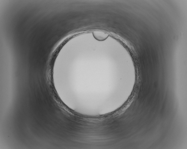 X0000108481502200905151212