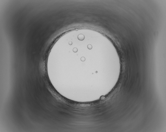 X0000108481503200905151212