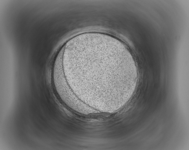 X0000108481504200905151212