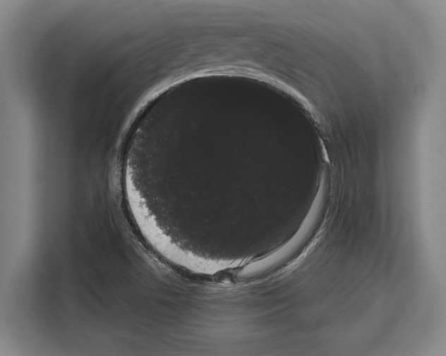 X0000108481506200905151212