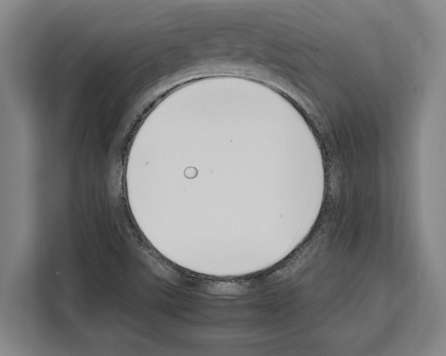 X0000108481507200905151212
