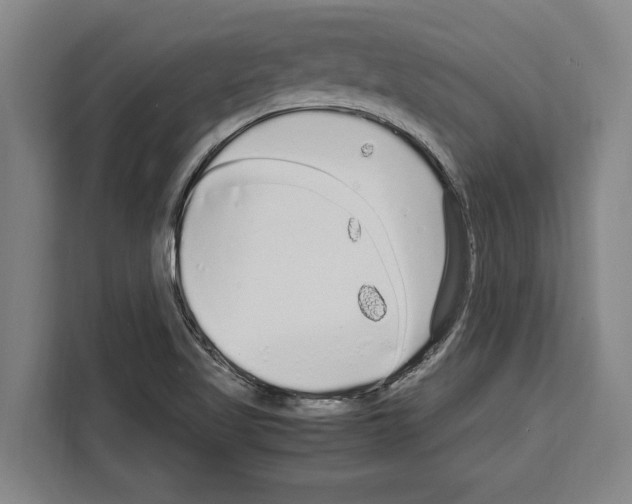X0000108481509200905151212