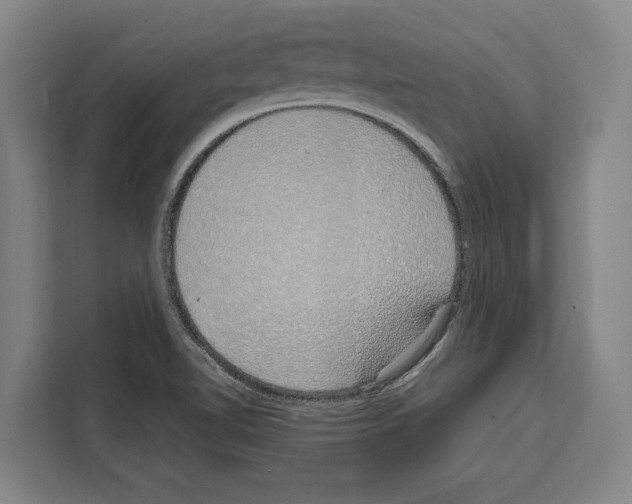 X0000108481510200905151212