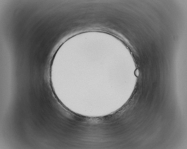X0000108481512200905151212
