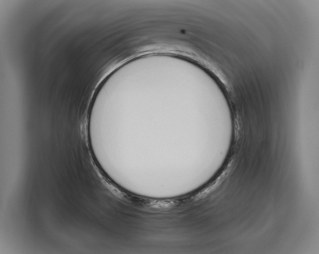 X0000108481513200905151212