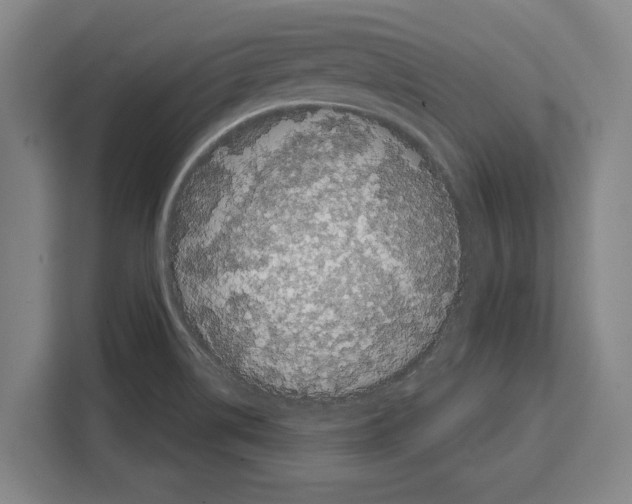 X0000108481514200905151212