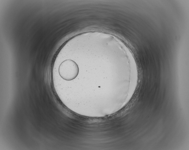 X0000108481515200905151212
