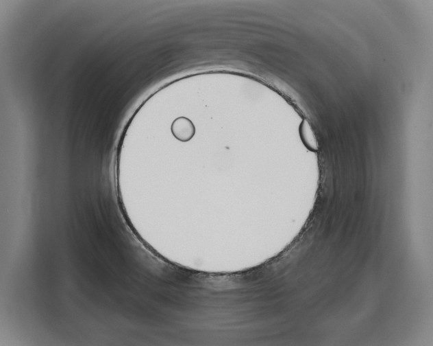 X0000108481516200905151212