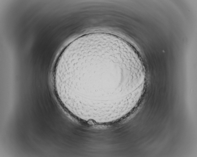 X0000108481517200905151212