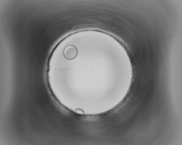 X0000108481518200905151212