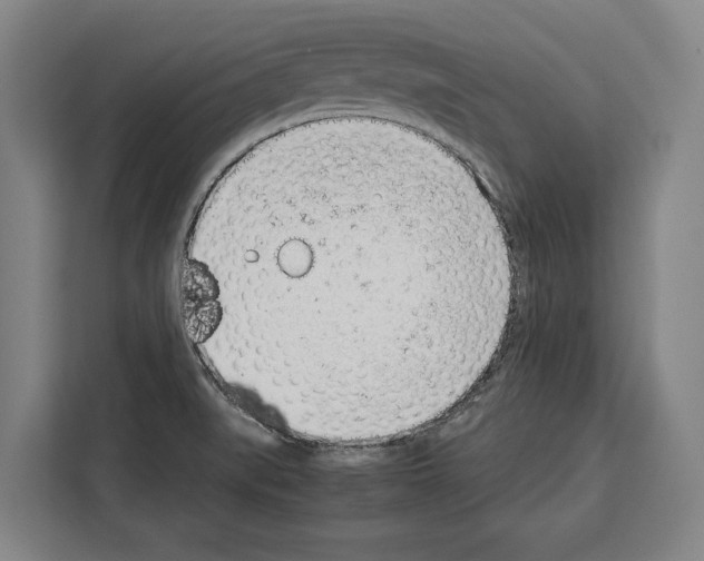 X0000108481519200905151212
