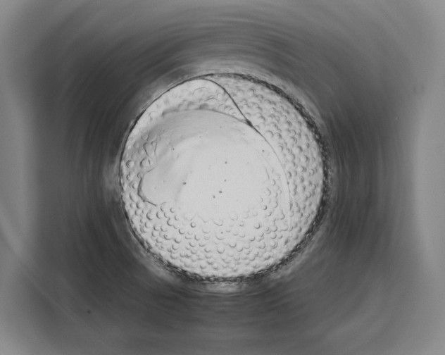 X0000108481521200905151212