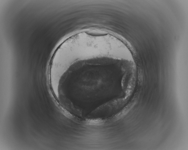 X0000108481522200905151212