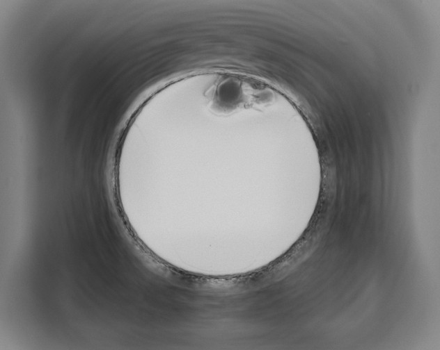 X0000108481523200905151213