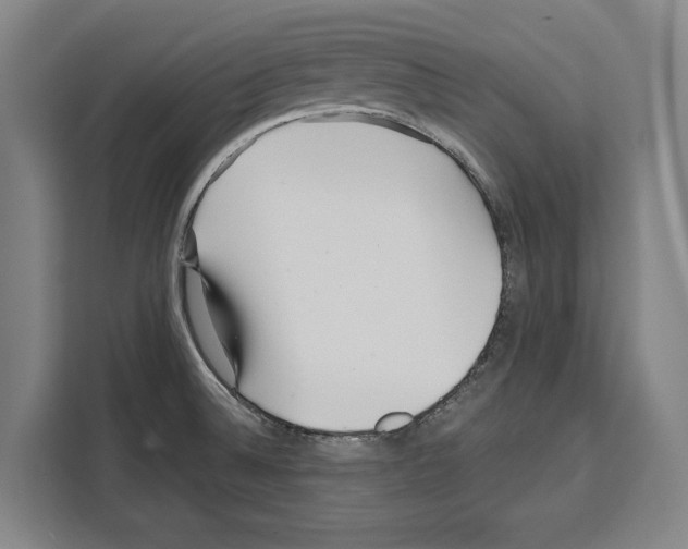 X0000108481524200905151213